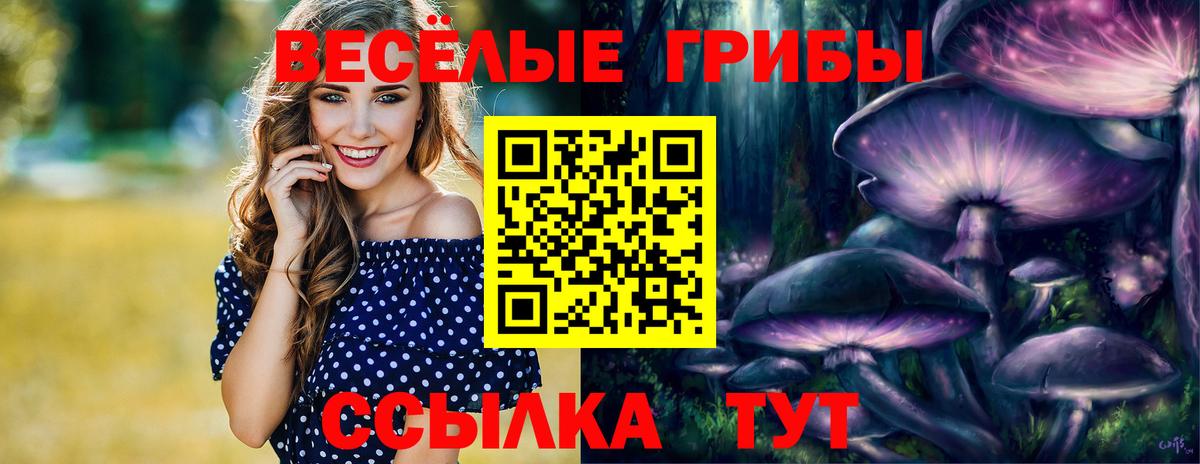 Галлюциногенные грибы Psilocybine cubensis Надым