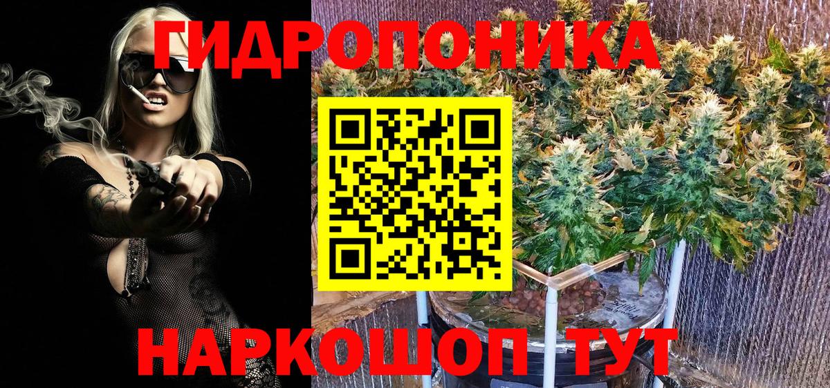 Бошки Шишки VHQ Надым